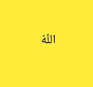 flowerseven7's tweet photo. (وكفى بالله وليًّا وكفى بالله نصيرًا )✨💛🌼 https://t.co/rzX3PWX2RY
