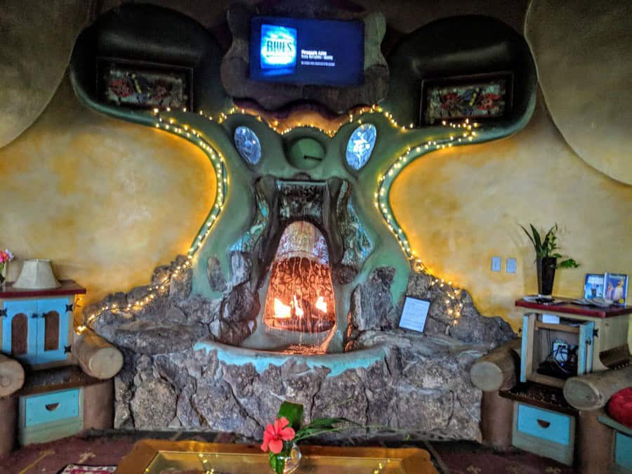 TinyHouseTalk's tweet photo. Banana trees, turtles and a fish pond growing indoors in the New Mexico high desert. The off-grid Phoenix Earthship near Taos keeps its jungle alive behind bottle walls. @earthship #earthship #offgrid
https://t.co/1xuP1APqMB https://t.co/2BwCq2LHXq