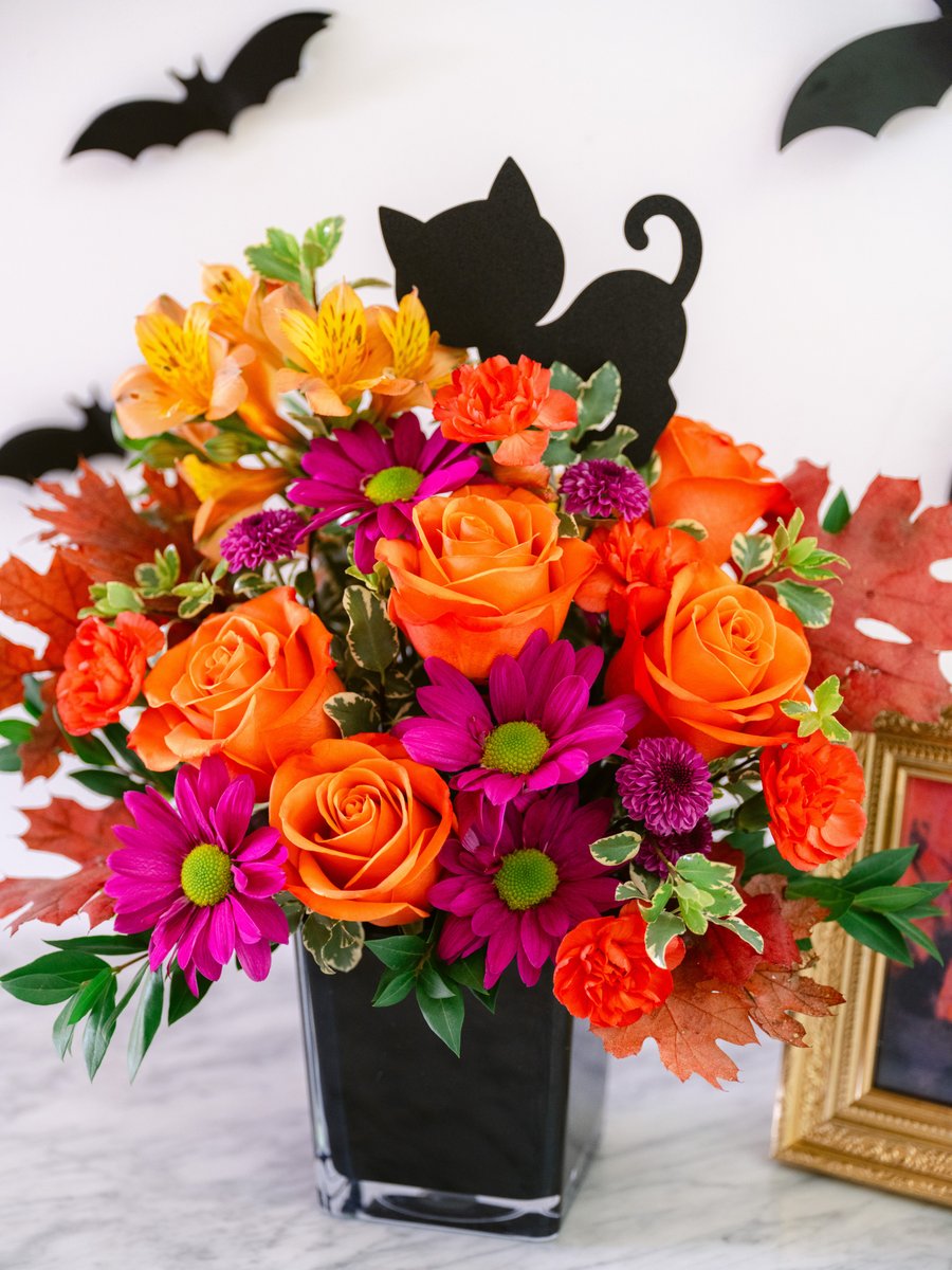 UnionPlus's tweet photo. Scary good savings await! Save 25% off Halloween-themed flowers, festive décor, sweet treats, and more. Make your home boo-tiful and your celebrations even sweeter. 🎃✨ https://t.co/04LPWh7z4O https://t.co/tQSV1Mte6E