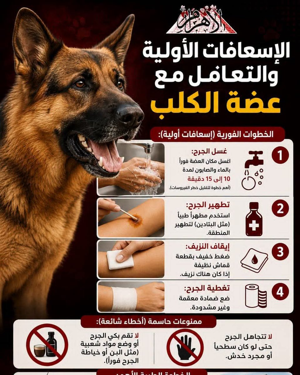 AlAhram's tweet photo. الإسعافات الأولية والتعامل مع عضة الكلب

https://t.co/vBUZV9cott https://t.co/JJa7YFHlc6