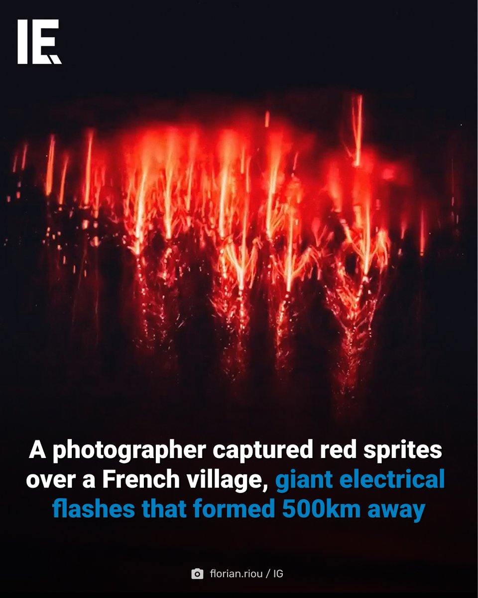 IntEngineering's tweet photo. A moment in the sky captured by photographer @florianriouphotographie illustrates one of the rarest atmospheric phenomena on Earth, red sprites, giant electrical discharges that form 50 to 90 kilometers above powerful thunderstorms. Photographed over the village of Montemaggiore in Corsica on the night of September 16-17, the branching red streaks appear to hover directly above the illuminated houses, but the storms generating them were 500 to 700 kilometers away near Barcelona. Sprites are caused by powerful positive lightning strikes that trigger electrical breakdowns in the upper atmosphere, with their red color produced by excited nitrogen molecules returning to a lower energy state. They last only milliseconds, making them nearly impossible to see with the naked eye.