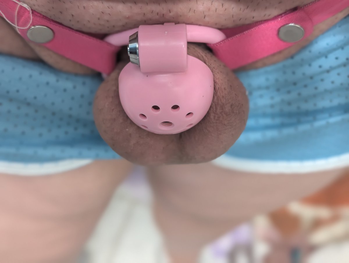 BaaBaaBackshots's tweet photo. #Locktober #trans #transnsfw #puppygirl https://t.co/OWqthZzwMY