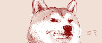 nyag591's tweet photo. 堕落した人間を鼻で笑う柴犬 https://t.co/72RjkmYtsS