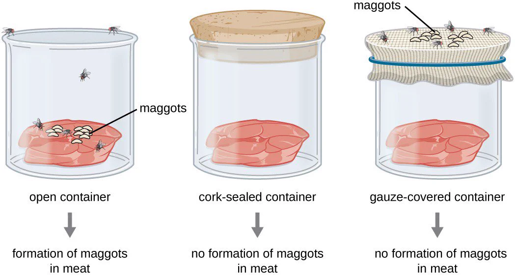 fraybentos on X: 