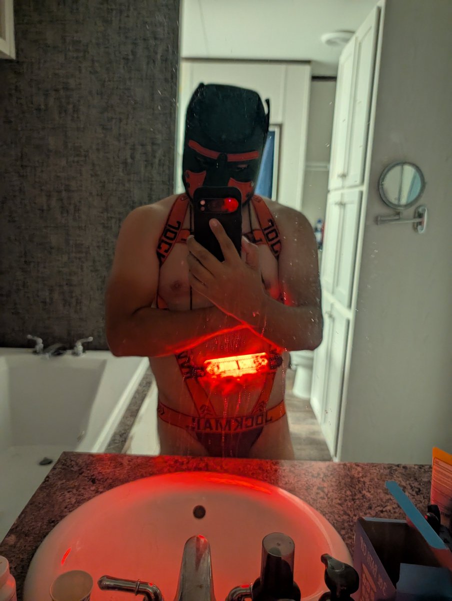 CodacRaccAD's tweet photo. Was feeling myself. 
Do I make a good pup? 
Ruff~ https://t.co/aEiYP5CElc