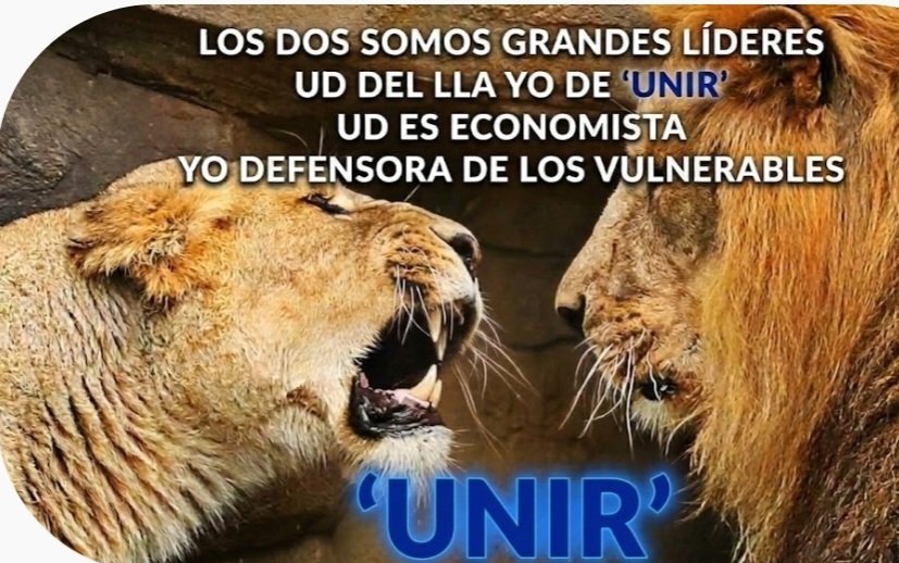 estrella2424's tweet photo. @JMilei NOSOTROS LO APOYAMOS PARA QUE SEA PRESIDENTE,CLARO SE OLVIDÓ, NOSOTROS SEGUIMOS TRABAJANDO DEMOSTRANDOLE QUE NO NOS IMPORTA UN CARGO PUBLICO ,,SI LA GENTE https://t.co/RZOBSEVEcf