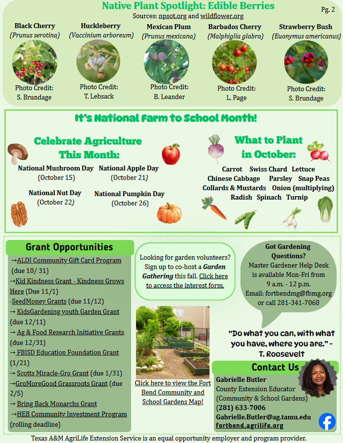 catwrite's tweet photo. Are you interested in opportunities to garden in your community? With the help of the Fort Bend Community Task Force, you can have access to free resources to get a community garden started. Contact 281-633-7006/Gabrielle.Butler@ag.tamu.edu https://t.co/HHs0asJneQ