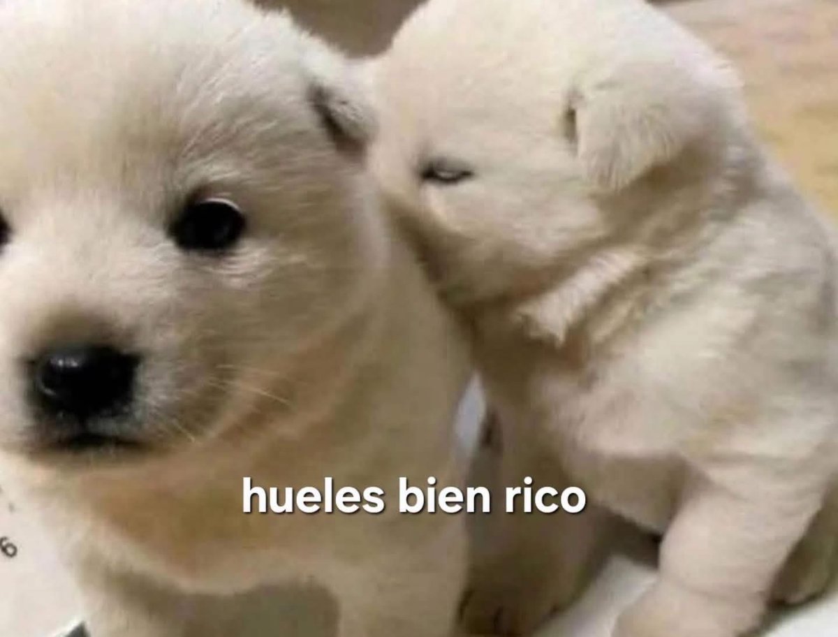 Guarromantico_'s tweet photo. Yo cuando estoy cerca de mi amorcito: https://t.co/MKqCqyY71h