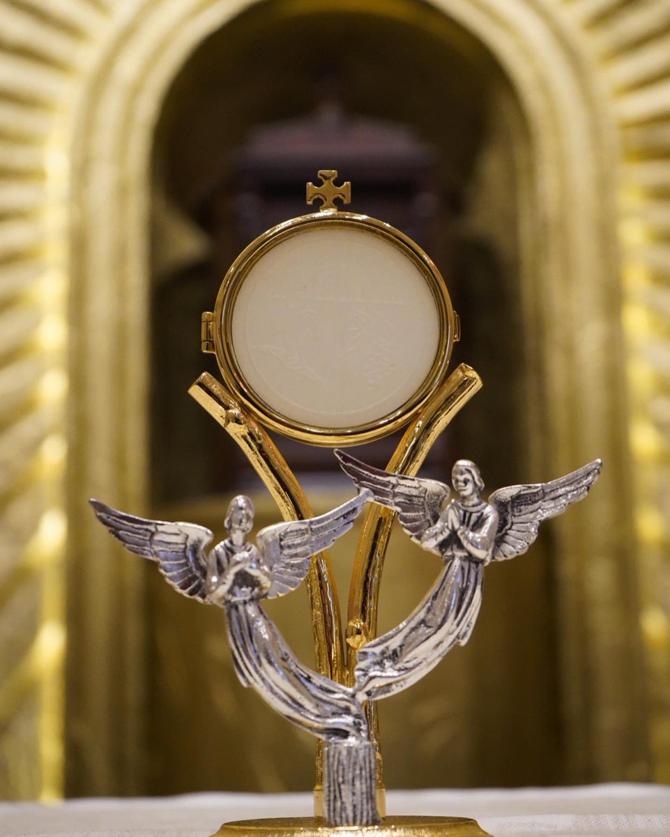 UcheMaryOkoli's tweet photo. Anyone who rejects the Eucharist, rejects Jesus. https://t.co/pCsGrN6TSy