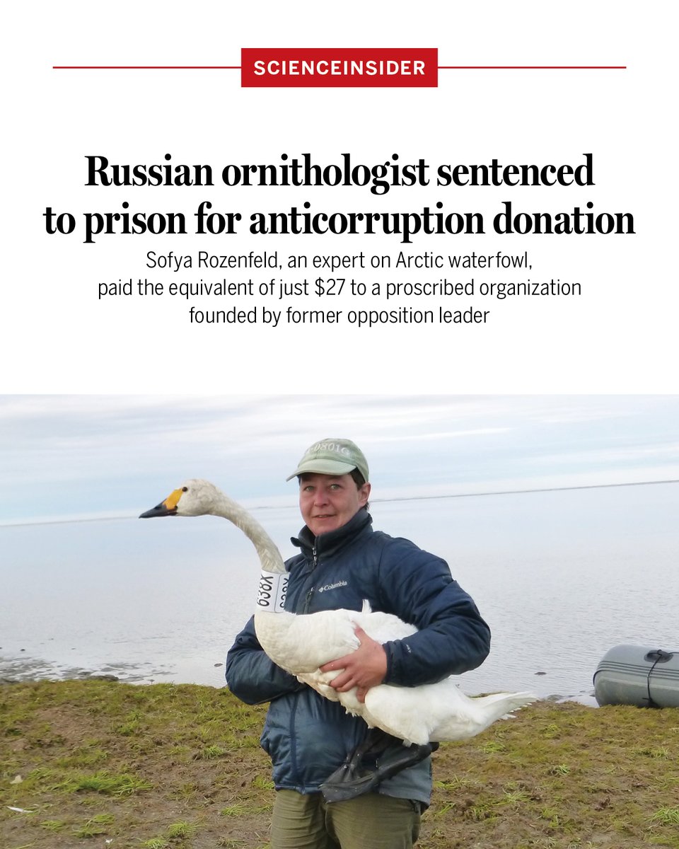 ScienceMagazine's tweet photo. A Moscow court sentenced Russian ornithologist Sofya Rozenfeld to 3.5 years in a penal colony on 7 October over two small donations to an anticorruption organization proscribed by the Russian government. https://t.co/aB0WFDFUhJ @NewsfromScience https://t.co/eCbnlDToR5