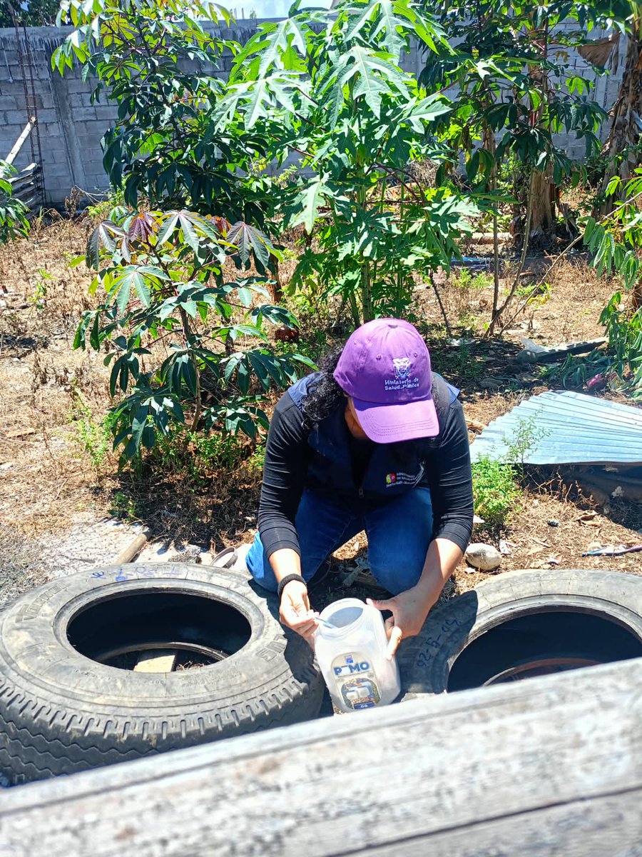 dpsmorona's tweet photo. #Macas | Nuestros equipos de salud recorren los barrios  de la localidad, realizando actividades de control vectorial con inspección, abatización y destrucción de criaderos de mosquitos causantes del dengue.🦟
 ¡Tú también puedes ser parte de la prevención! https://t.co/n1BplJnNA9