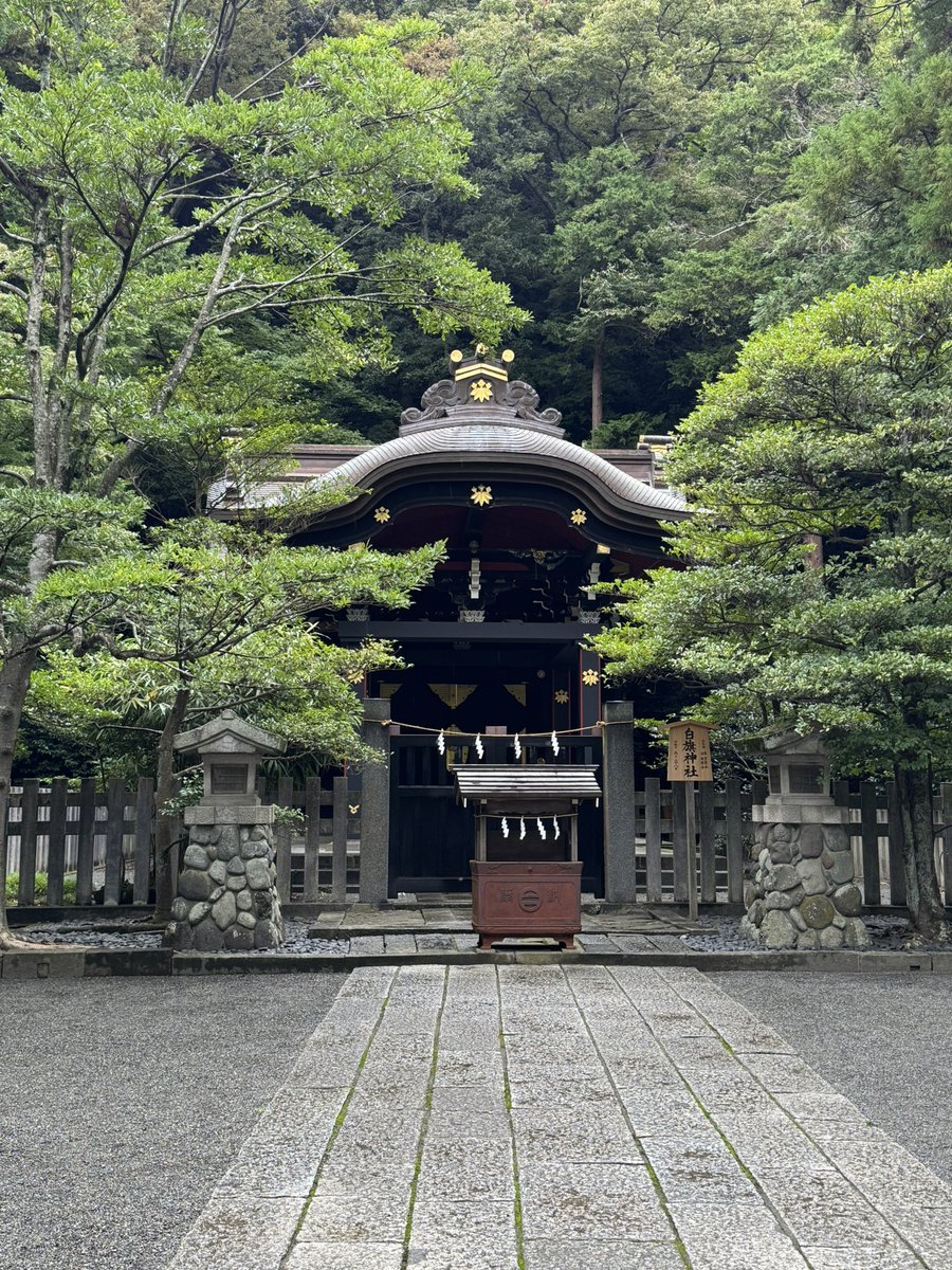 baskosanasana's tweet photo. 鎌倉・鶴岡八幡宮境内
🏳️白旗神社⛩️

源頼朝、実朝を祀る白旗神社

頼朝は戦上手？で勝運

実朝は和歌が好みで学業成就

勝運学業のご利益があります

黒漆の社殿
八幡宮では珍しい色の黒

境内でも静かなエリア
秋には紅葉も🍁🍂

バスコさんもお気に入り🤩

10月23日から鎌倉国宝館も開館します https://t.co/tk8m0958wM