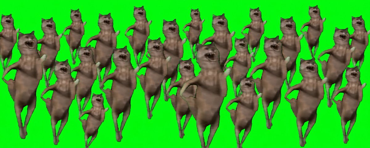 wolfpackmeme's tweet photo. $WOLFPACK is the first of its kind reguarding onchain tokenization and we are pushing it to limit

No other team has put up 5 million dollars of liquidity and all the others that tried rugged within a day

Robinhood chain is the home of tokenization and this is just the beginning

We anticipate almost every stock getting tokenized but we believe there should be many providers of tokenized assets

@RobinhoodCrypto @vladtenev 

Join the Wolf army
