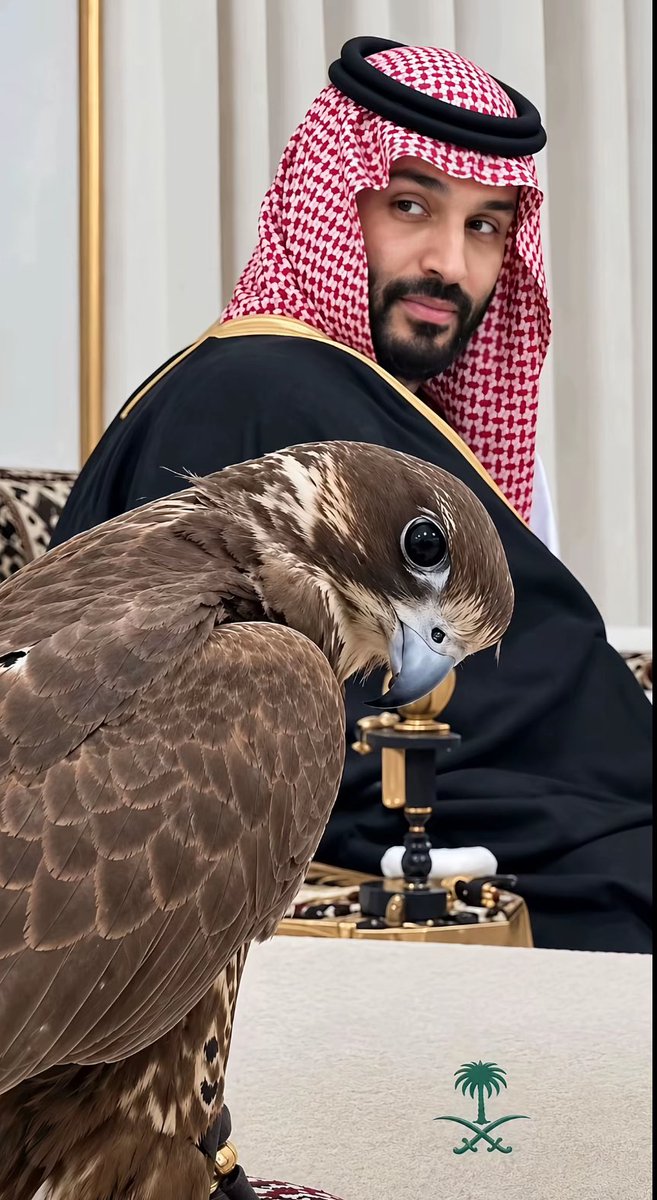 it_x71's tweet photo. 🌴⚔️سيف السعودية المسلول⚔️🌴 https://t.co/hs0dFro4SE