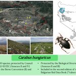 Photo by Conservation MDPI (@Conservation_OA)