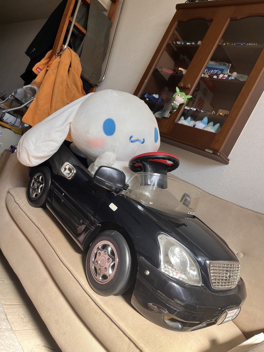 pachijome1204's tweet photo. ややこいシナモンが居る日常 https://t.co/VGAzJxDwR5