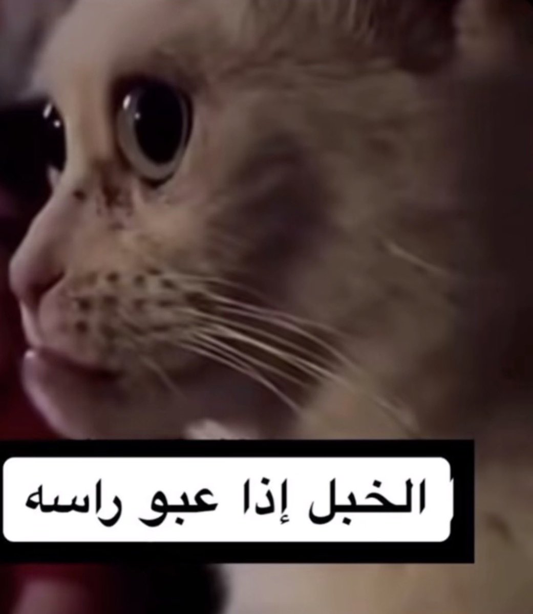 Tol9y1's tweet photo. @rrumh1 تتتقصصد سلماان بن حثلين ي حبايب 🤣!! 
ريلاكس https://t.co/IBrWAbHbj6