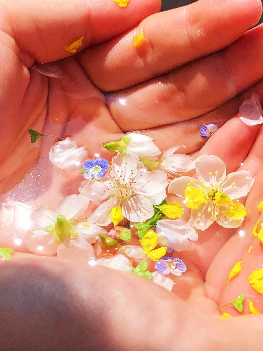 arunyadav8474's tweet photo. Don't let the messy dirt tarnish the joy of gathering—handpick loved ones u0026 savor every warm moment. https://t.co/b5IRPFNNJ9