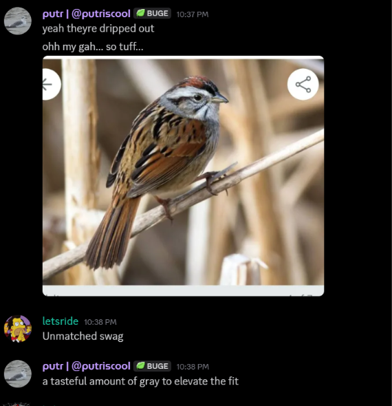 faintchirp's tweet photo. birdtwt discord is an experience worth having https://t.co/o45JEIbGYR