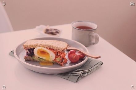 FunkyFiesta's tweet photo. Make every word kind and gentle.When they reached the cove, they spread out a blanket on the sand, and Julian pulled out the picnic—sandwiches filled with fresh turkey and avocado, fruit salad, cookies, and a thermos of lemonade. They ate slowly, savoring the f https://t.co/ntAB4MLIbw