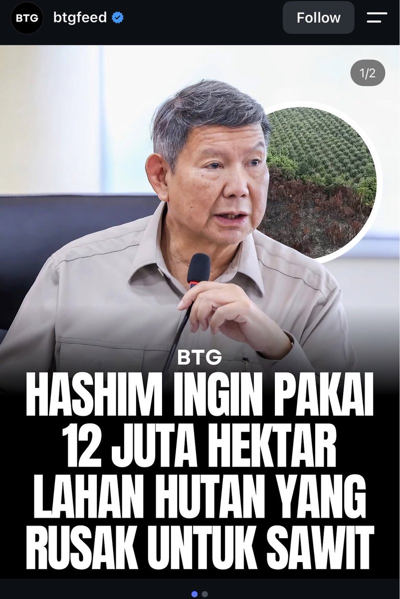 TxtdariHI's tweet photo. Hutan jadi Sawit. Alam yg jadi kambing hitam. https://t.co/LiorKMPILW