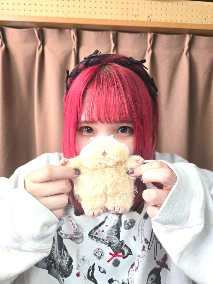 charin842's tweet photo. uiちゃんがスタジオにお友達を連れてきました🐹

名前は、、、まだ無いそうです

@ui__hat

#チャリン842
#HaT
#HATEandTEARS
#たのしい金融教育
#お金の先生
#お金の教育 https://t.co/t4tYznLxFj
