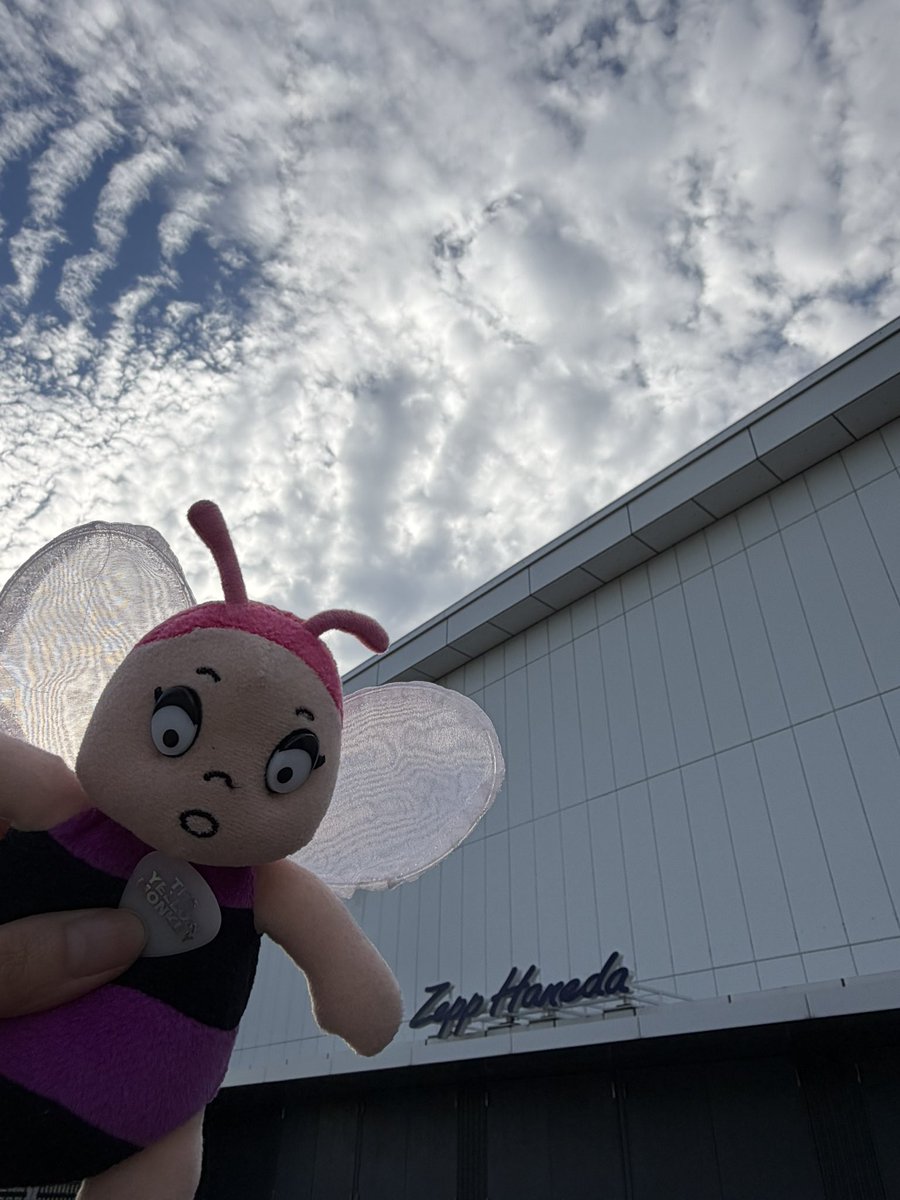 gocchi17's tweet photo. 今更投稿
10月4日はTHE YELLOW MONKEY TOUR 2026 THE COUNTDOWN
〜60分1本勝負〜@Zepp Hanedaへ
ステージには60分間のカウントダウンが表示されてて本編最後の曲がちょうど0になったと同時に終わって圧巻だった！ https://t.co/gdSbg4wwAV