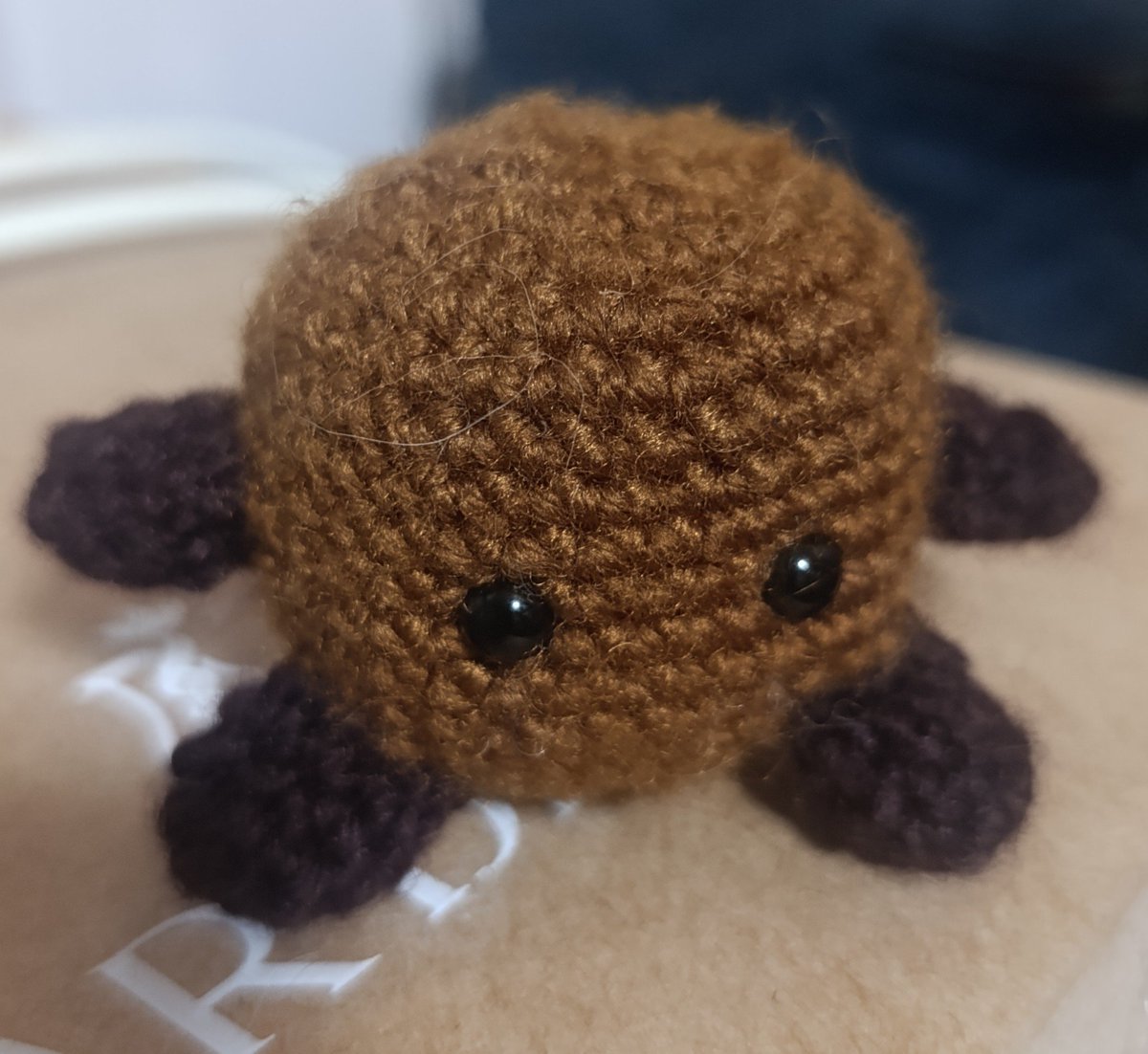 kattddev's tweet photo. oigan me hice un shooky pero tengo miedo de hacerle la carita, ahora me sale shooky fumado https://t.co/LjJkcAKIKt