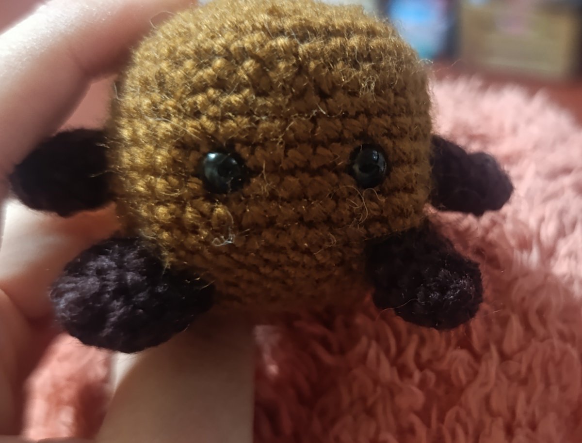 kattddev's tweet photo. oigan me hice un shooky pero tengo miedo de hacerle la carita, ahora me sale shooky fumado https://t.co/LjJkcAKIKt