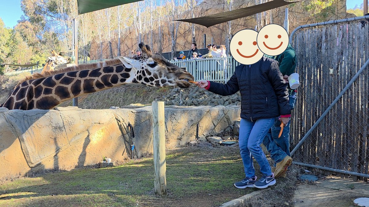 fewerpins's tweet photo. 2/ Wonders of Wildlife, National Zoo &amp; Aquarium. A keeper, all day, behind the scenes: we patted white rhinos and a cheetah, fed a tiger, meerkats, lemurs, otters, giraffes, zebras, emus, kangaroos.

Stories about every animal. My parents, both in their 70s, did all of it. https://t.co/l1jm1tEevf
