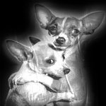 Photo by young ass baller smoking kush (@santinzz)