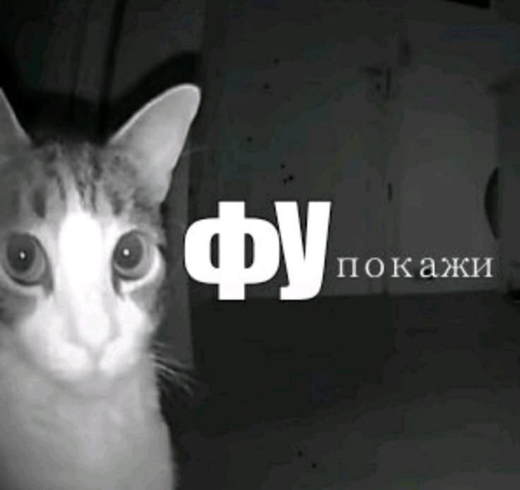 agustd5489's tweet photo. вспомнила про эти, не знаю показывали их еще или нет хахаха https://t.co/QY8HLIu9f6