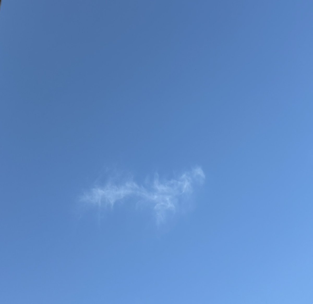 rekusukun_uta's tweet photo. 今日も天気☀️よくて朝から寒いｹﾄﾞ青空広がってて元気出た😆もう10月半ばかぁ、、早っ💦あれよあれよ10月終わって11月入れば来月で今年も終わりですね〜なんて言ってる気がします。日々ちょっとした幸せ感じていきたいな😊 #イマソラ https://t.co/w5qdeDegcT