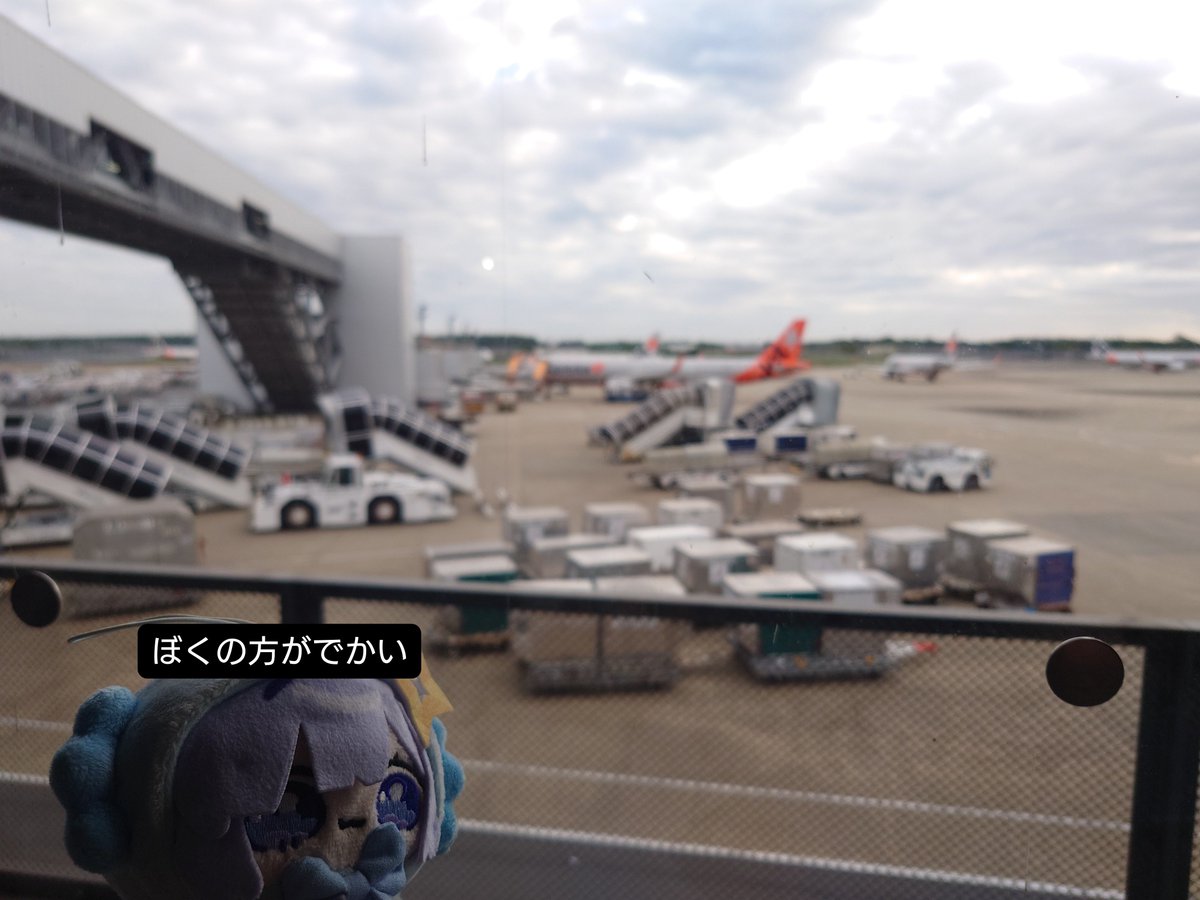 tasoosi_hololis's tweet photo. 飛行機でっかいね https://t.co/9Q4aajTxPg