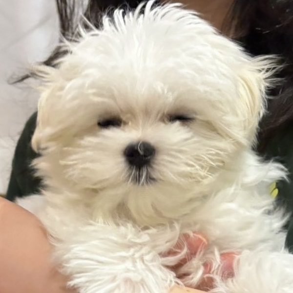 ykc_fyc's tweet photo. まだ木曜日という現実を受け入れられない顔 https://t.co/Pr2GQqfLEE