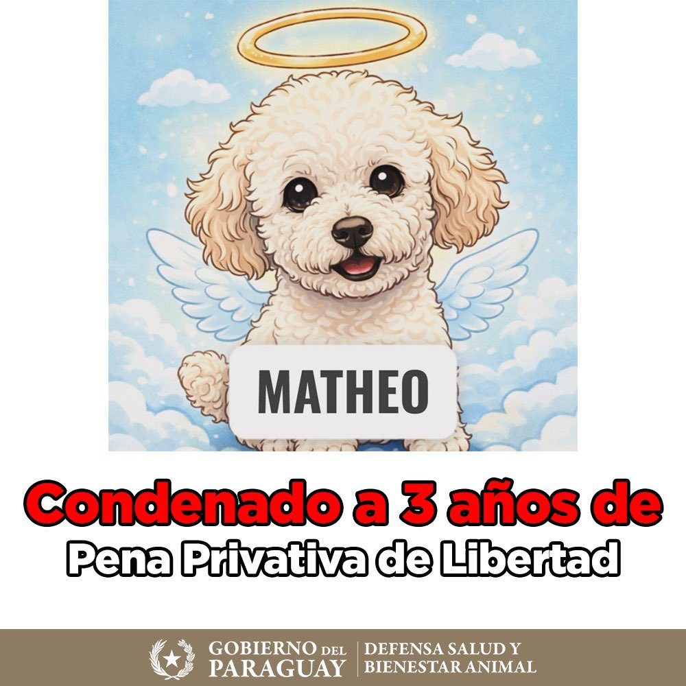 defensanimalpy's tweet photo. ¡CONDENA EJEMPLAR POR CRUELDAD ANIMAL EN PARAGUAY!
Tres años de prisión por la muerte de Mateo.
Un importante precedente para la defensa y el bienestar animal se consolida en Paraguay. https://t.co/iFYRZhZYgs