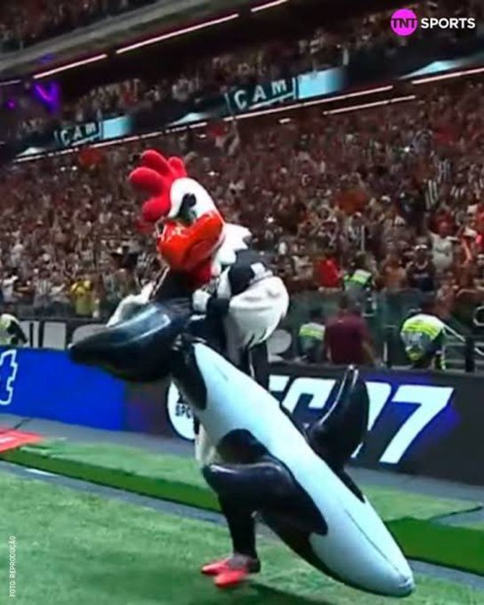 A sports mascot in a black and white bird costume with a red comb rides an inflatable orca on a football field sideline, with 'TNT SPORTS' and an 'EPIC 17' banner visible.