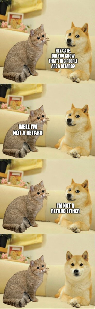 catedogepf's tweet photo. 12 years later and CateDoge is still asking the important questions. https://t.co/5X4NQYbDZ3