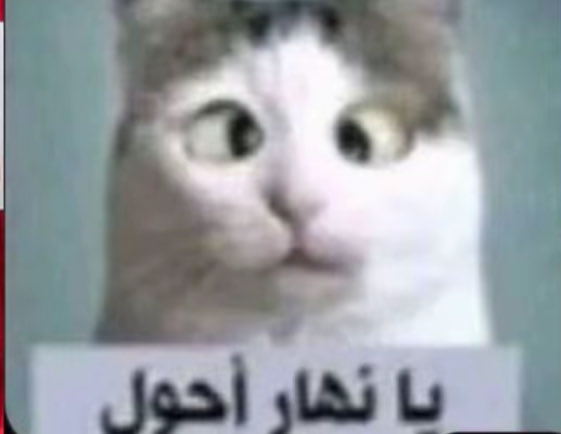 W09snx's tweet photo. @fi32xx أنا مستجده بس الحمد لله ما قدحت قدحتها ولا كان تعشيت عدس https://t.co/dJOX7fJXwD