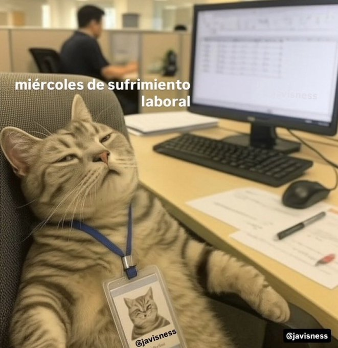 aleeparra08's tweet photo. https://t.co/MlC5yjwwsG
