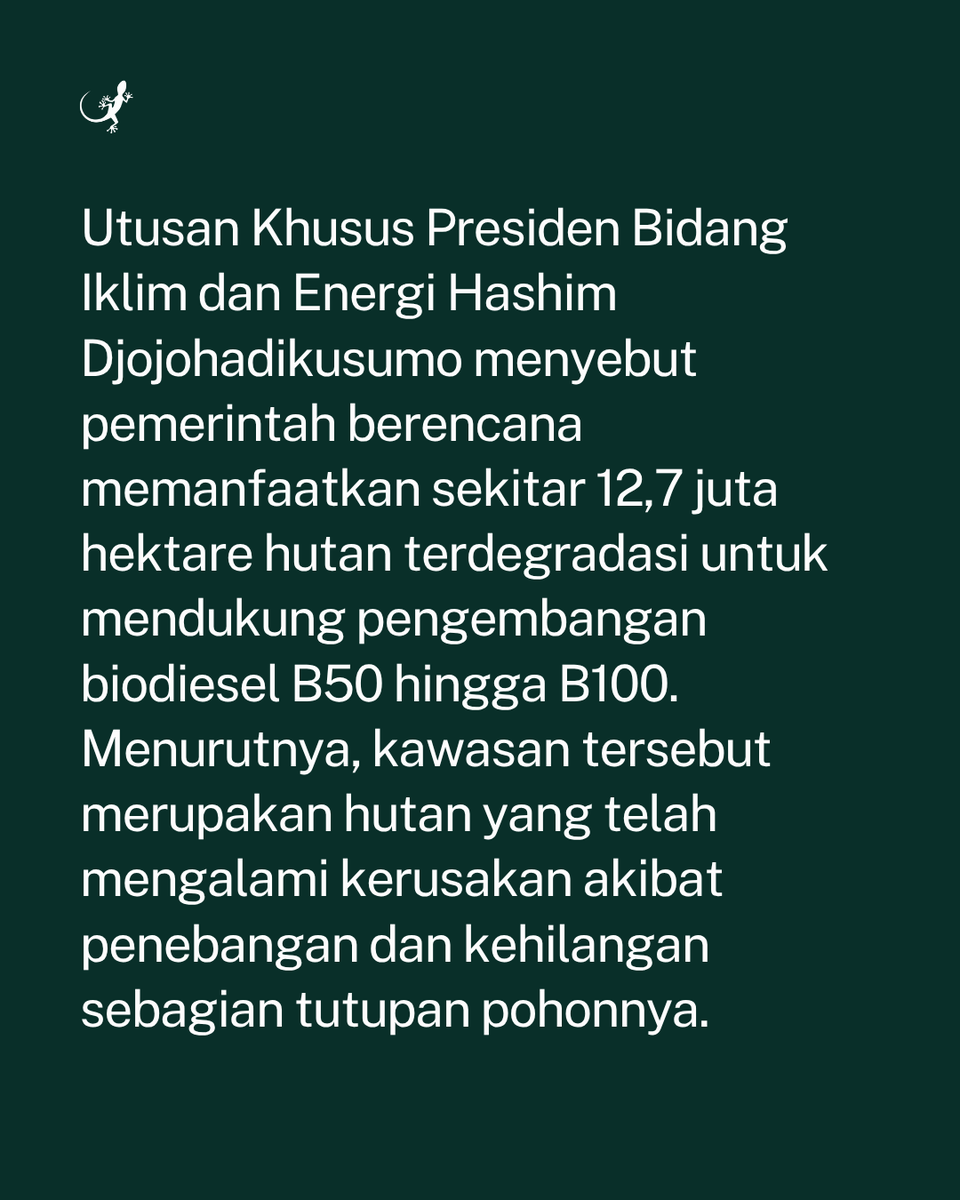 MongabayID's tweet photo. Utusan Khusus Presiden Bidang Iklim dan Energi Hashim Djojohadikusumo menyebut pemerintah berencana memanfaatkan sekitar 12,7 juta hektare hutan terdegradasi untuk mendukung pengembangan biodiesel B50 hingga B100. https://t.co/k32Jnuxy4m