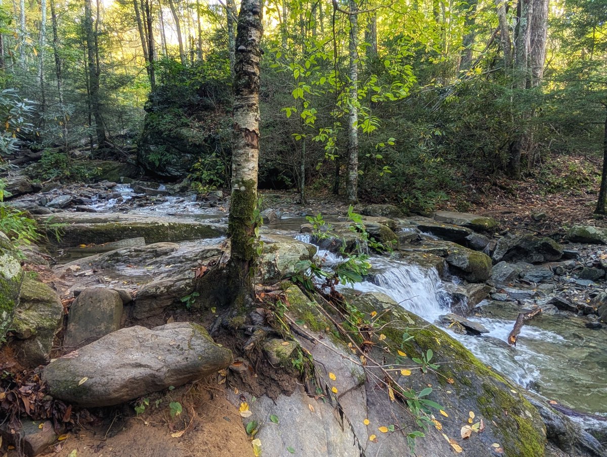 MollyntheMts2's tweet photo. I really enjoyed these sections when I hiked through in the daylight. But hiking out in the dark, knowing I had to go through that rock maze, scared of bears, with the sound of the water echoing off of the walls so loudly, and cross the water..Not gonna lie, it made me nervous.😳 https://t.co/Zr3LdPMmUc