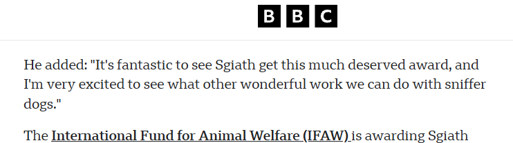 eternalthesis's tweet photo. WAIT WHAT

This dog named Sgiath was just rewarded the ANIMAL OF THE YEAR by BBC NEWS

She has saved THOUSOUNDS of animals in the see by detecting sea vomit 

She works under the organization International Fund for Animal Welfare (IFAW) which have a charity!!!

GONNA GO SUPER VIRAL

BBC POST - https://t.co/w0q3lHhOl9

Yahoo POST - https://t.co/H0bgByAyGx