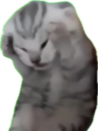 MEROLiu_'s tweet photo. 猫ミームすぎるꧦ𐅁𐀸𐋠𛰙᭜𖫴𖫰𖫱𖫳𖫲𖫲𖫳𖫴𖫰𖫱꛰ ᭜𖫴𖫰𖫱𖫳𖫲𖫲𖫳𖫴𖫰𖫱꛰ީᩝ𛰚💘 https://t.co/umrJs2Agaf