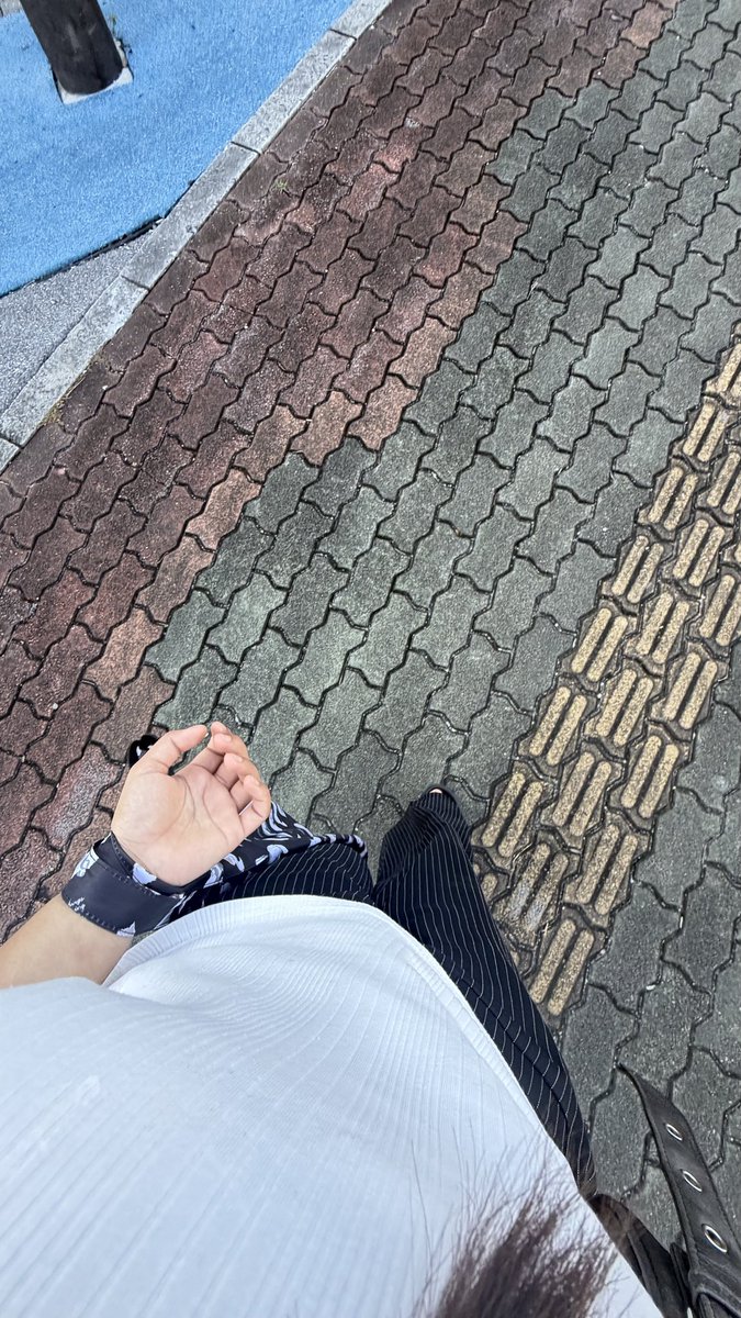tktmuichir0's tweet photo. おはよー https://t.co/ytqJSZRj6H