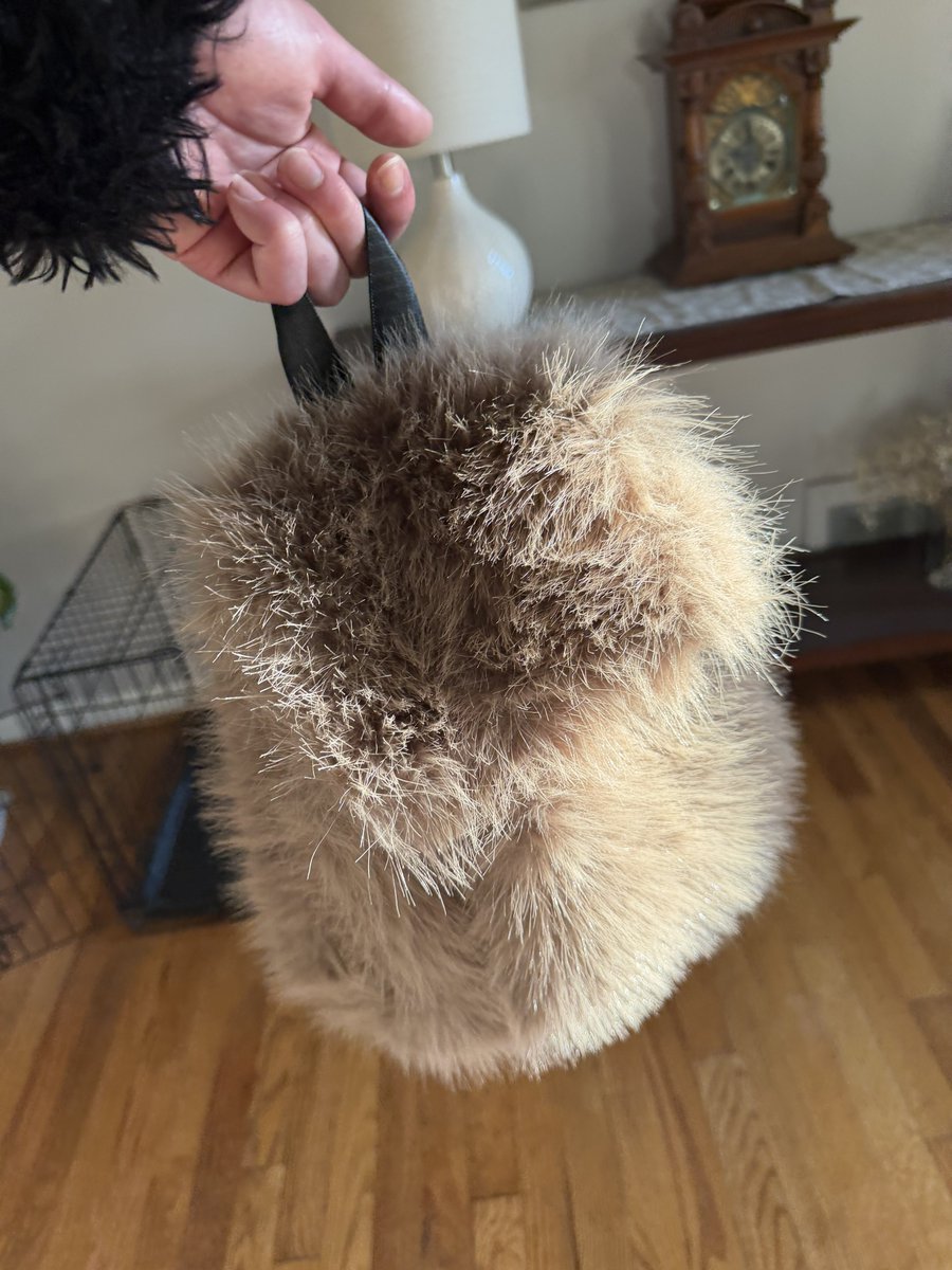 femfurblair's tweet photo. When the ears and the bag both understand the assignment ๐ฐโจ
Carrying the fluff so I donโt have to.
#FluffyBag #MatchingAccessories #BunnyCore #FurryFinds #TooMuchFluffNeverEnough https://t.co/sk6kWxRVxH