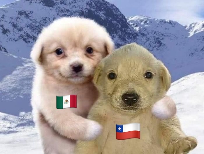 wossangria's tweet photo. #mexchi https://t.co/b6FeI67h50
