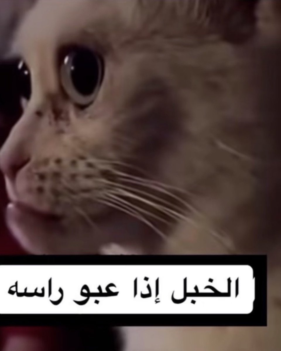 lil2c_'s tweet photo. اسمي طلع  موجود اكثر في الامارات الان يتم مقاطعه نفسي https://t.co/W0KrFgPr20