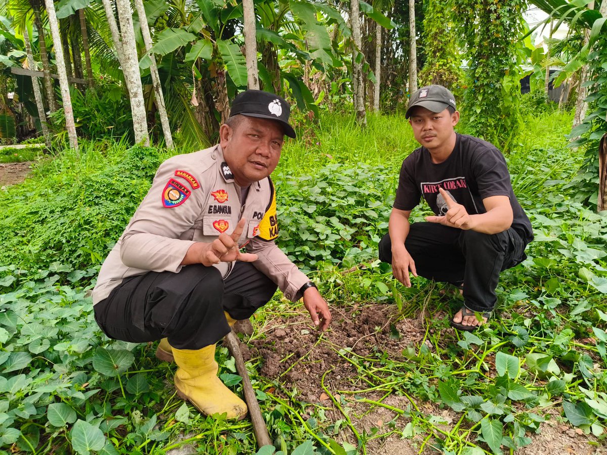 GaungPolsek's tweet photo. Kegiatan Green Policing oleh Bhabinkamtibmas Desa Belantaraya Kec Gaung https://t.co/N5RQUClxjK