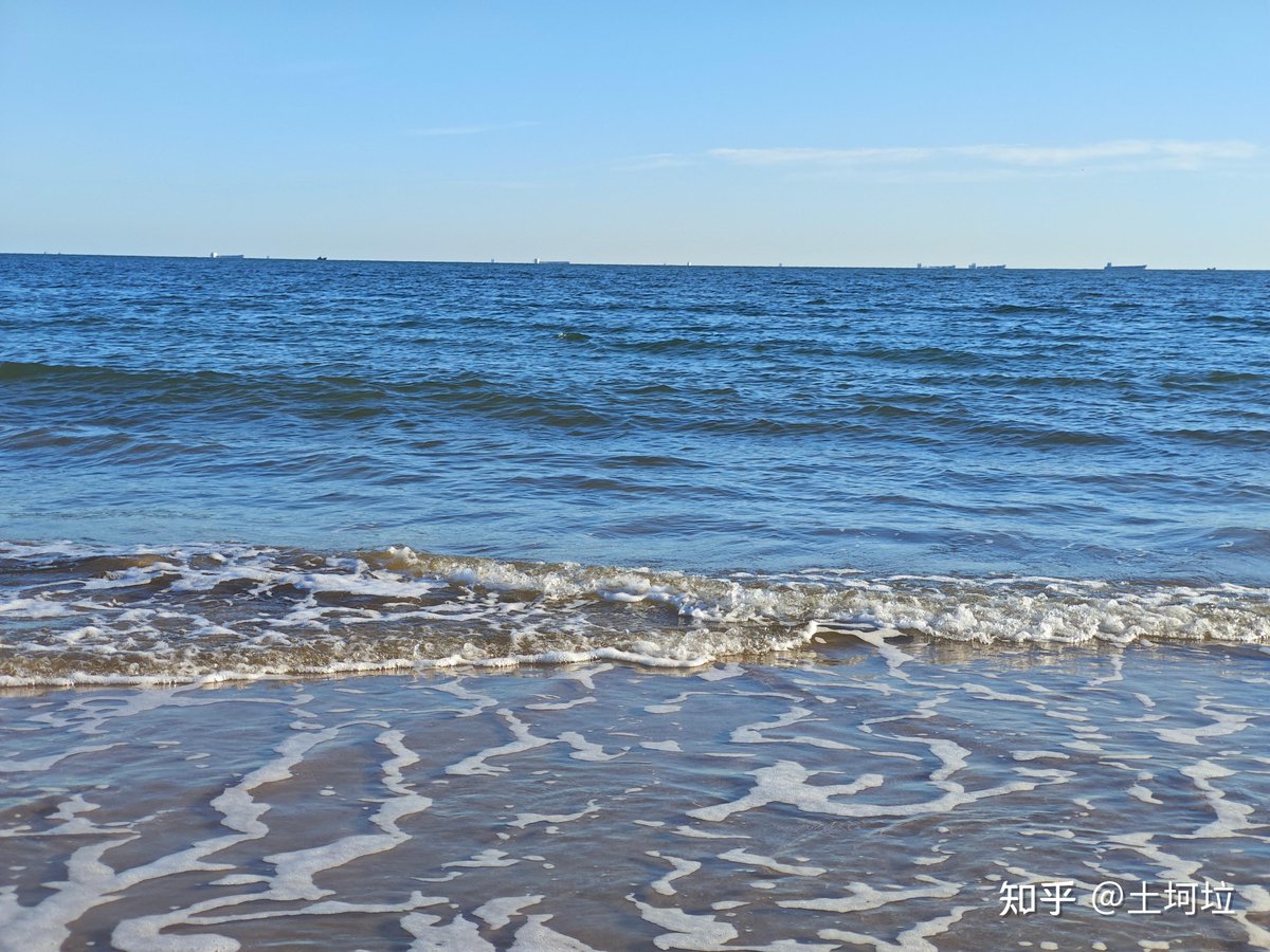 SearChg07e's tweet photo. 涸れた牡の貝殻が砂浜に転がっている。 https://t.co/0MVy6KWTmT